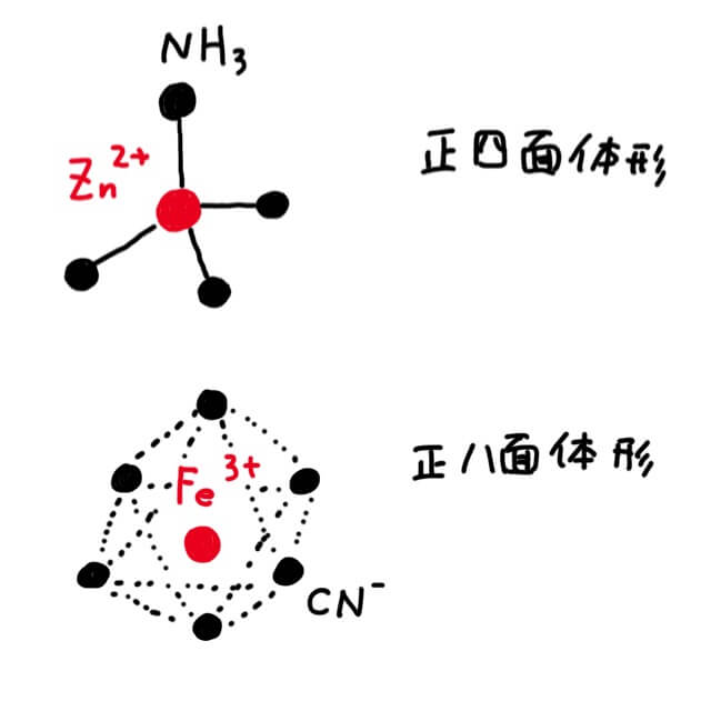 錯イオンの配位数と立体構造まとめ｜高校化学