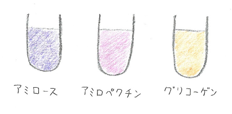 多糖類デンプンのらせん構造とヨウ素デンプン反応